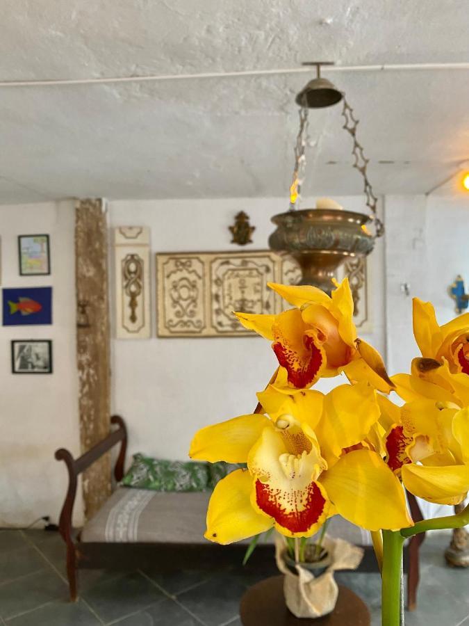 Hostel Dona Generoza Araquari Exteriér fotografie